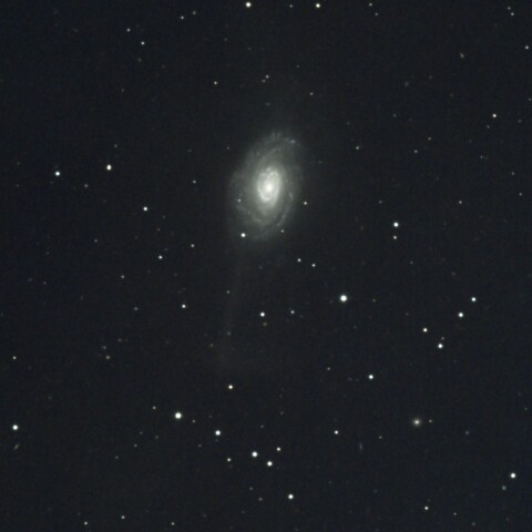 Arp189