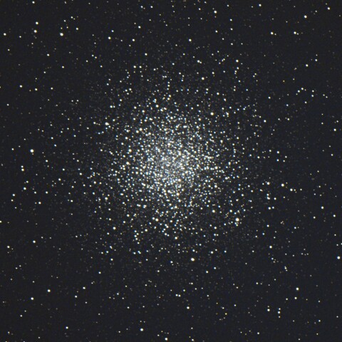 M55