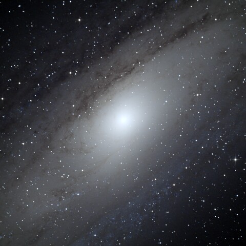 M31