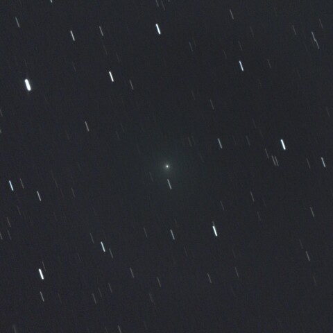 161P-2026.10.2