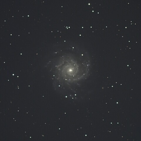 M74