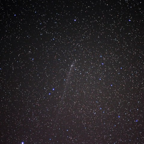 パンスターズ彗星のアンチテイル