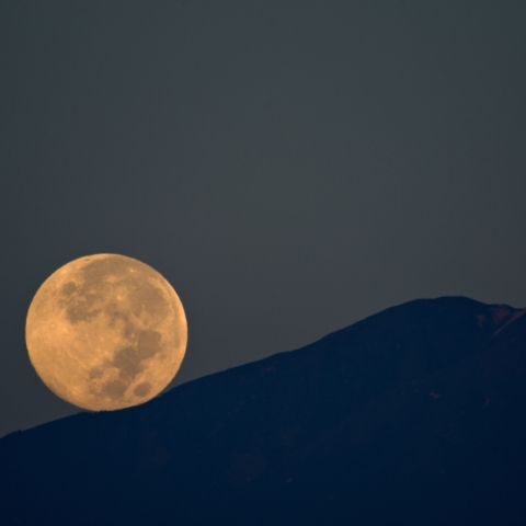 Like a Rolling Stone