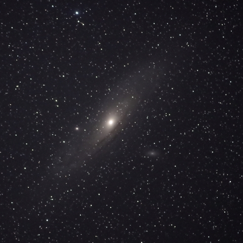 M31