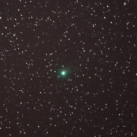 ラブジョイ彗星 (C/2013 R1)