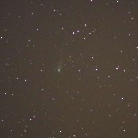 アイソン彗星 （C/2012 S1）