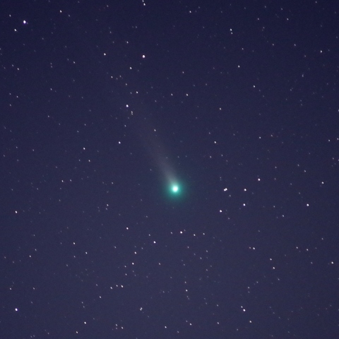 ラブジョイ彗星（C/2013 R1）