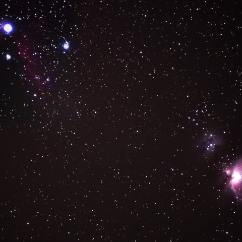 燃える木～馬頭星雲～オリオン大星雲