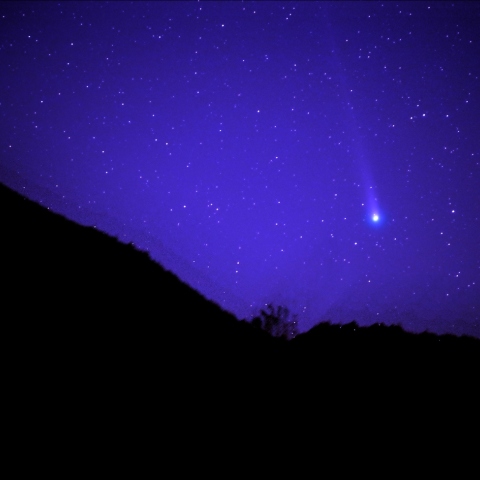 北東の空に昇るLovejoy彗星（C/2013 R1）