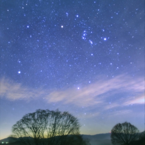 大峰高原大カエデとオリオン座