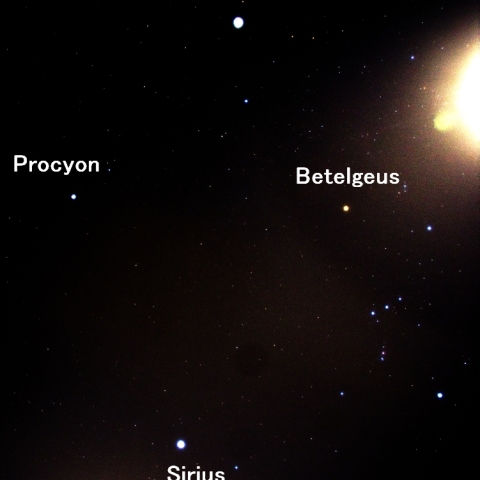 南天の大きな十字