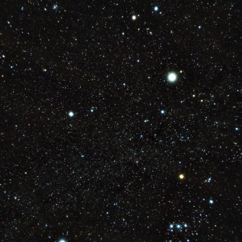 南天の十字　ソフトフィルター