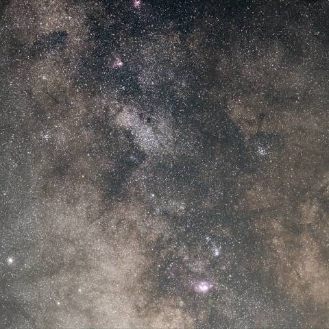 6/30　久しぶりのバンビ