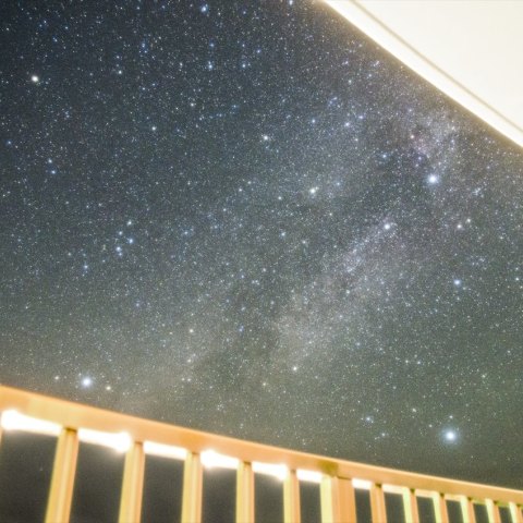 夏休みの大三角