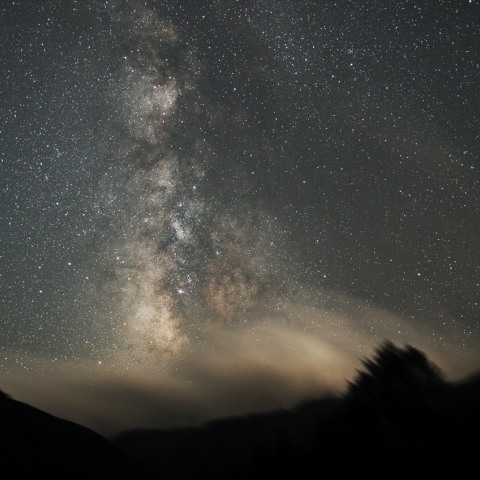 (8/19)南から西へ傾くバンビ