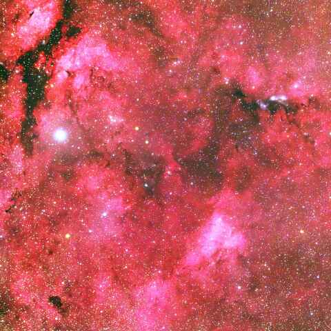 はくちょう座γ付近の散光星雲