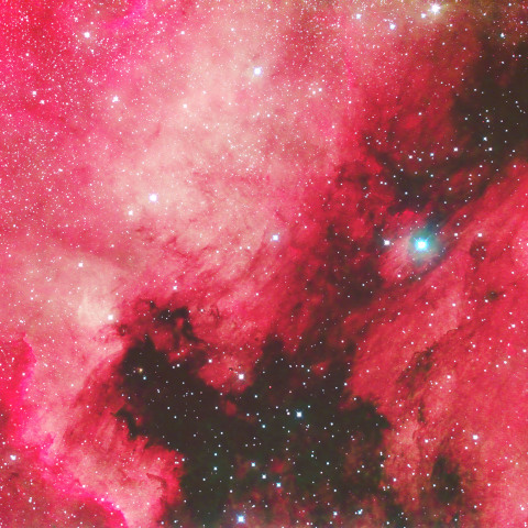 北アメリカ星雲とペリカン星雲