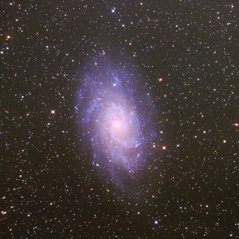 M33