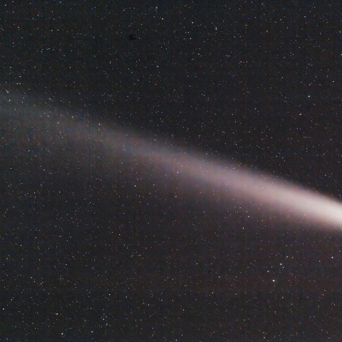 紫金山・アトラス彗星（C/2023 A3）2024/10/21