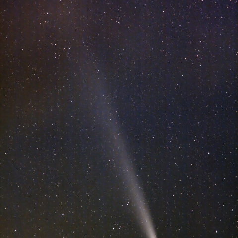 紫金山・アトラス彗星（C/2023 A3）2024/10/21