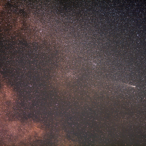 紫金山・アトラス彗星（C/2023 A3）2024/11/03