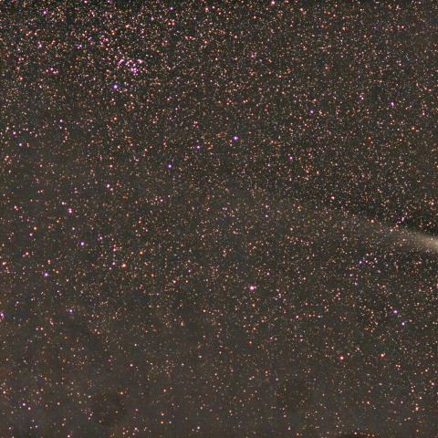 紫金山・アトラス彗星（C/2023 A3）2024/11/03