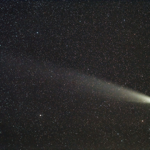 紫金山・アトラス彗星（C/2023 A3）2024/11/03