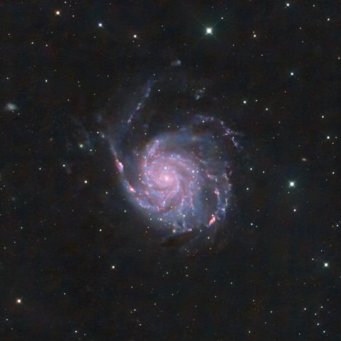 M101