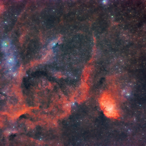 チューリップ星雲と周辺の星雲星団