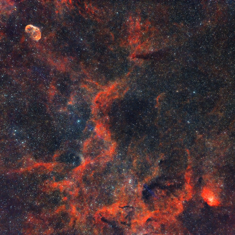 クレセント星雲からチューリップ星雲にかけて