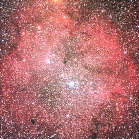 IC1396