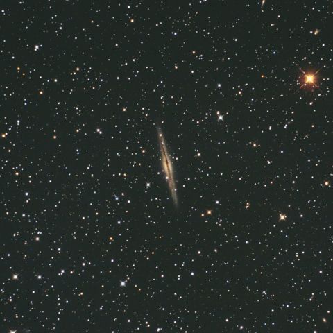 NGC891