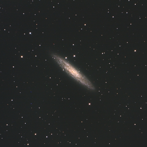 NGC253