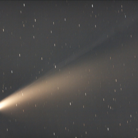 ネオワイズ彗星C/2020F3（7/19）