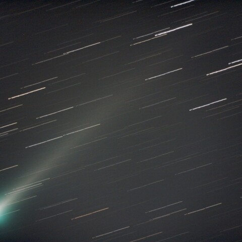 レナード彗星（C/2021 A1）