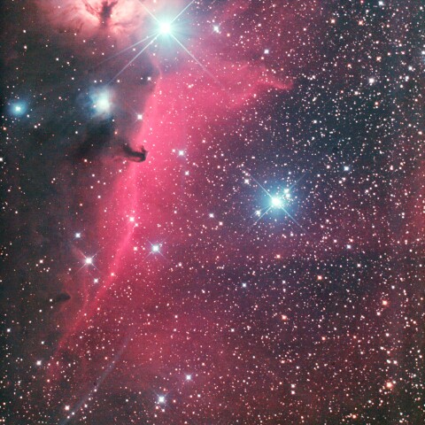 馬頭星雲と周辺の散光星雲