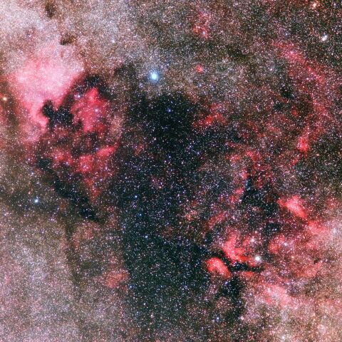 デネブからはくちょう座γ付近の散光星雲