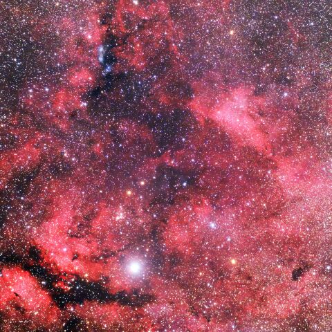 はくちょう座γ（サドル）付近の散光星雲