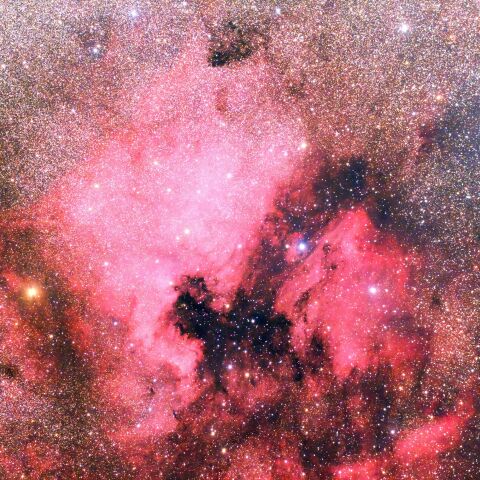 北アメリカ星雲とペリカン星雲