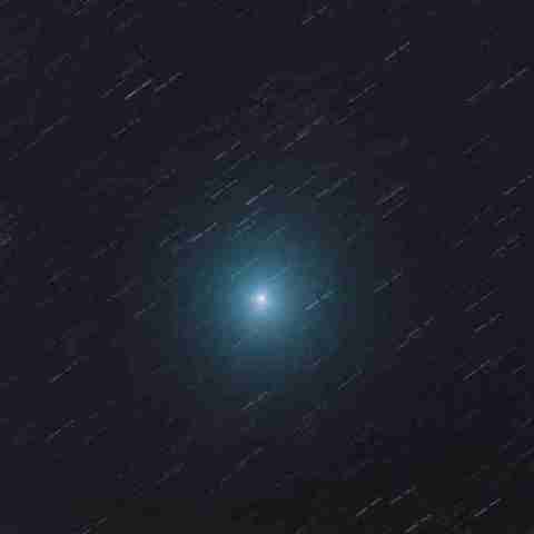 ウィルタネン彗星