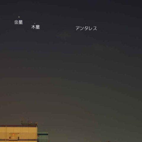 金星、木星の接近