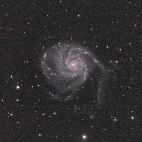 M101