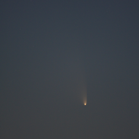 パンスターズ彗星