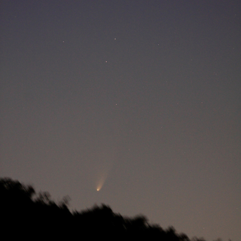 パンスターズ彗星