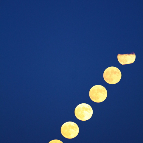 Rising 中秋の名月 2023