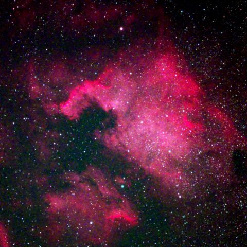 はくちょう座　北アメリカ星雲