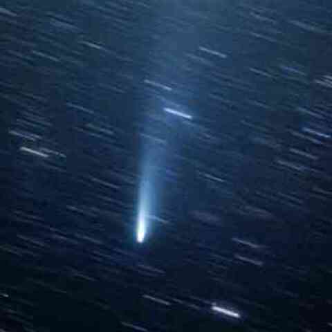 C/2025 K1 アトラス彗星 12月1日