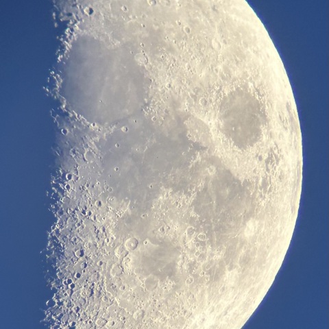 7/21 月