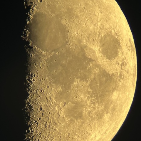 7/21 月