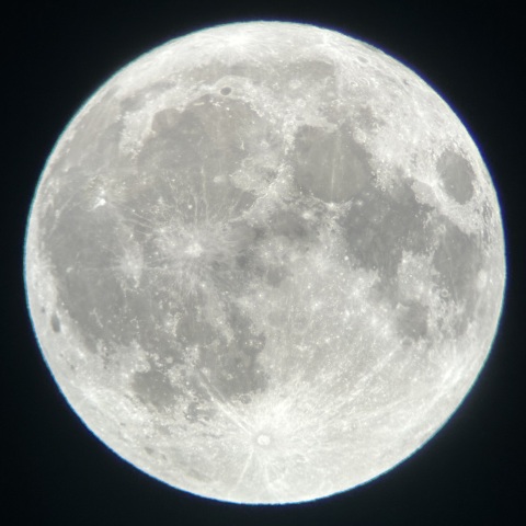 7/29 月